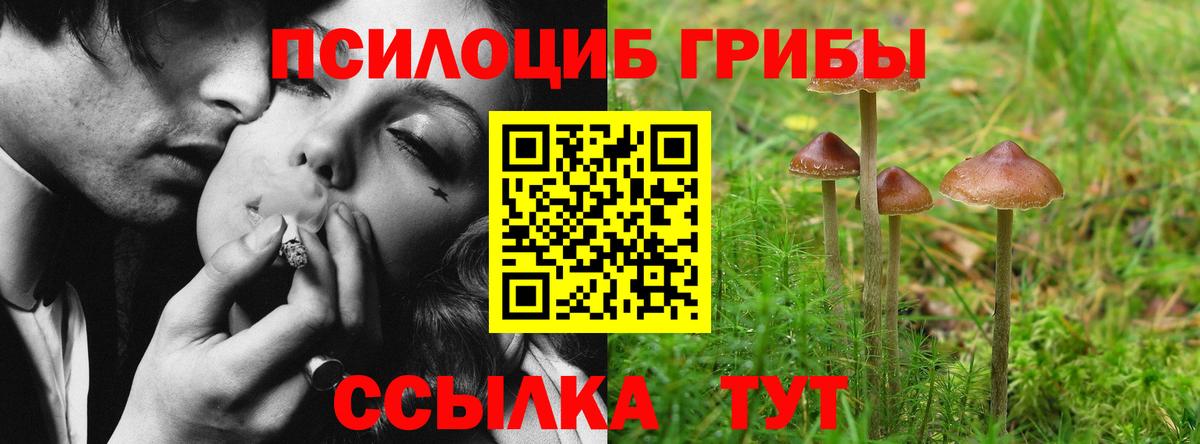 Кострома  Галлюциногенные грибы Magic Shrooms  Галлюциногенные грибы GOLDEN TEACHER  Вход с VPN 